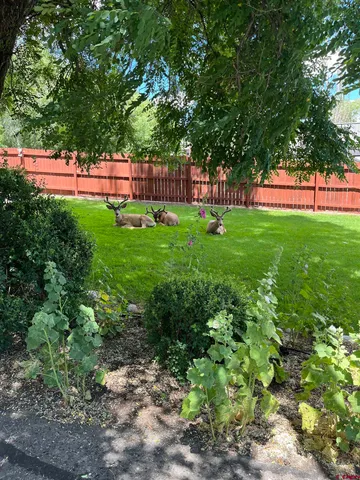 a view of yard with green space