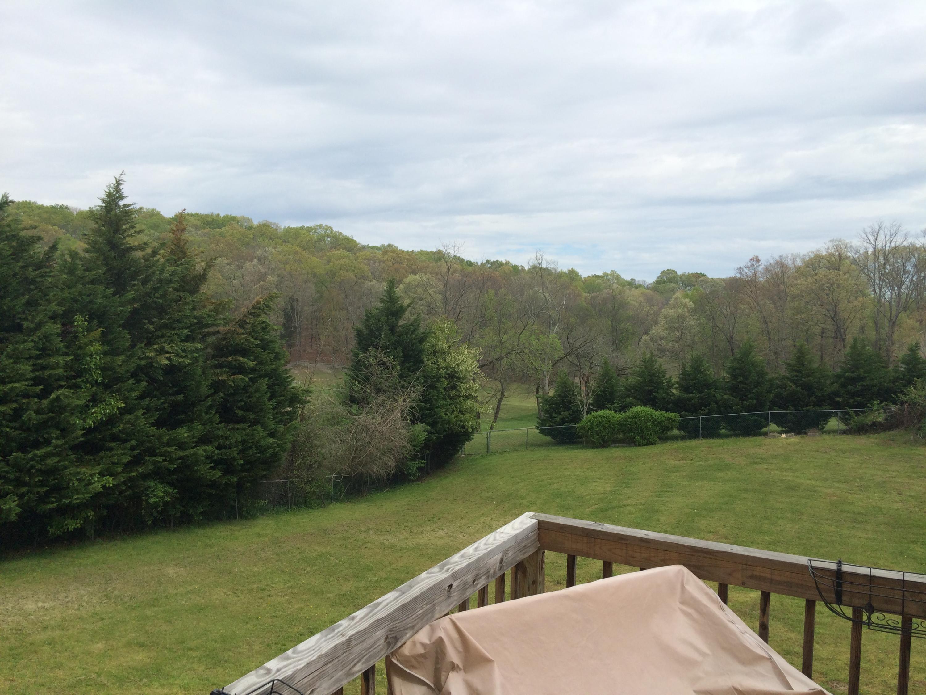 3387 Huffs Ferry Road Loudon, TN 37774 - Photo 17 of 18 Backyard from deck