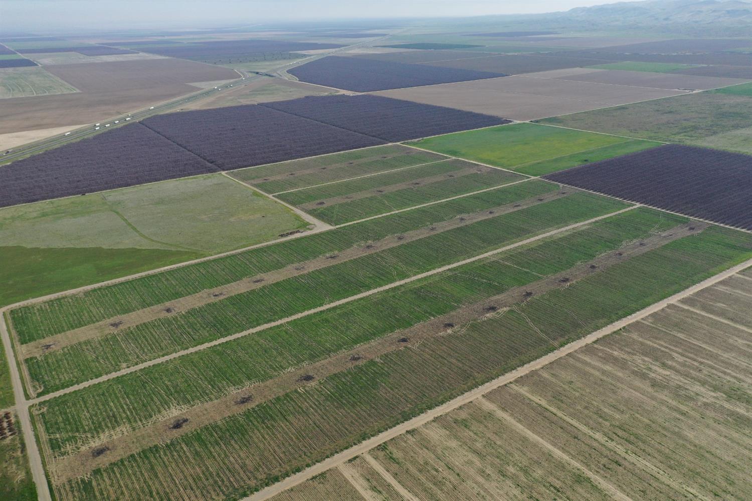 47070 West Panoche Road Firebaugh, CA 93622 - Photo 6 of 8