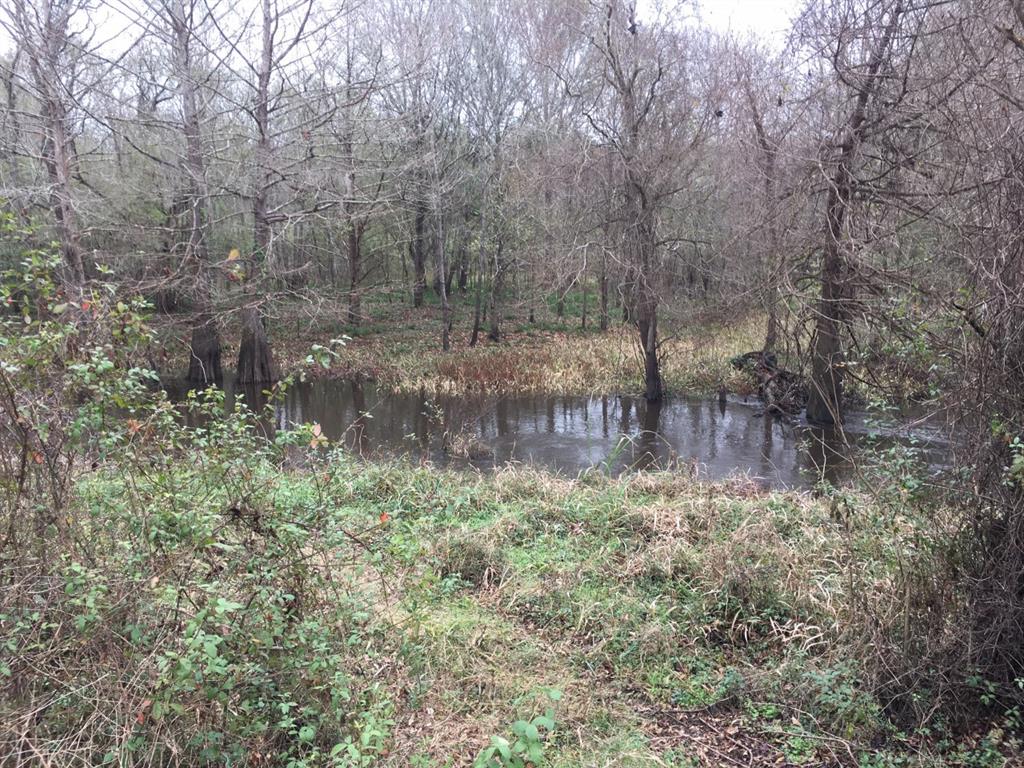 Tbd Big Creek Road Shepherd, TX 77371 - Photo 4 of 11 a view of a yard with large trees