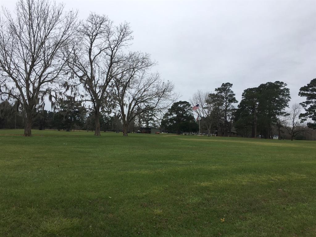 Tbd Big Creek Road Shepherd, TX 77371 - Photo 6 of 11 a view of a field of grass and trees