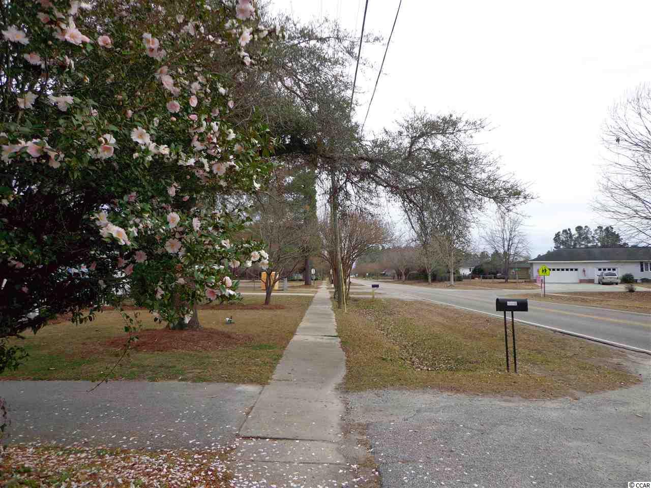 1111 Sandy Bluff Road Mullins, SC 29574 - Photo 23 of 25 Gallery Image 23