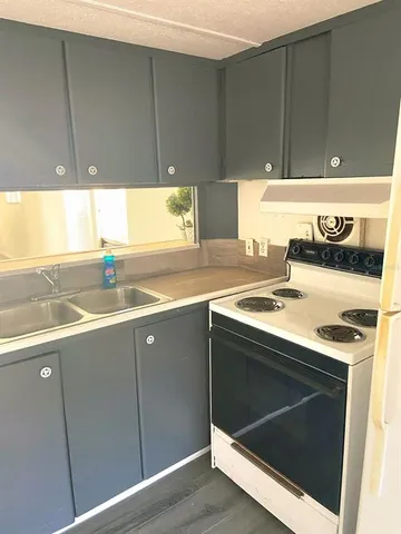 a kitchen with a sink cabinets and wooden floor