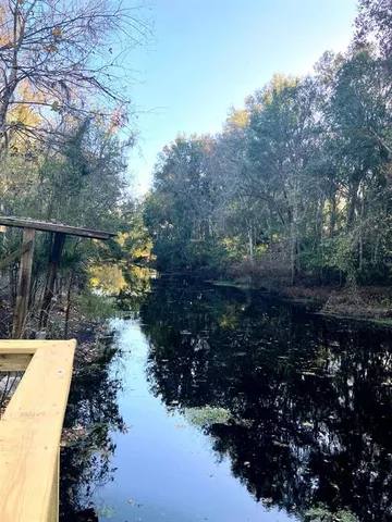 a view of a lake in middle of forest