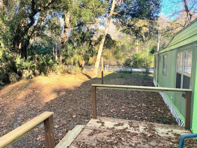 a view of a yard with large trees