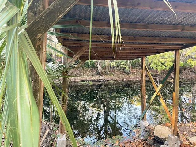 a view of a backyard