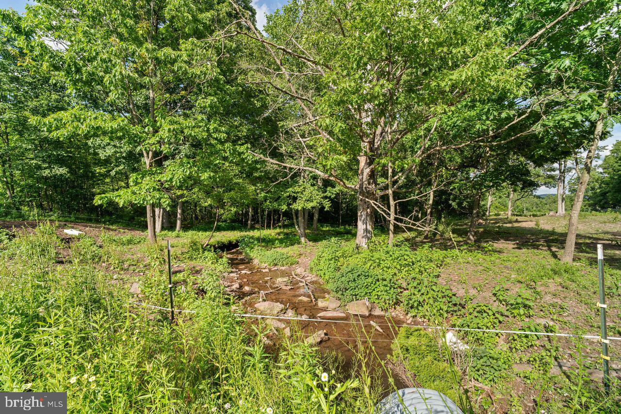 1030 Bethel Hollow Road Schellsburg, PA 15559 - Photo 34 of 37 Stream