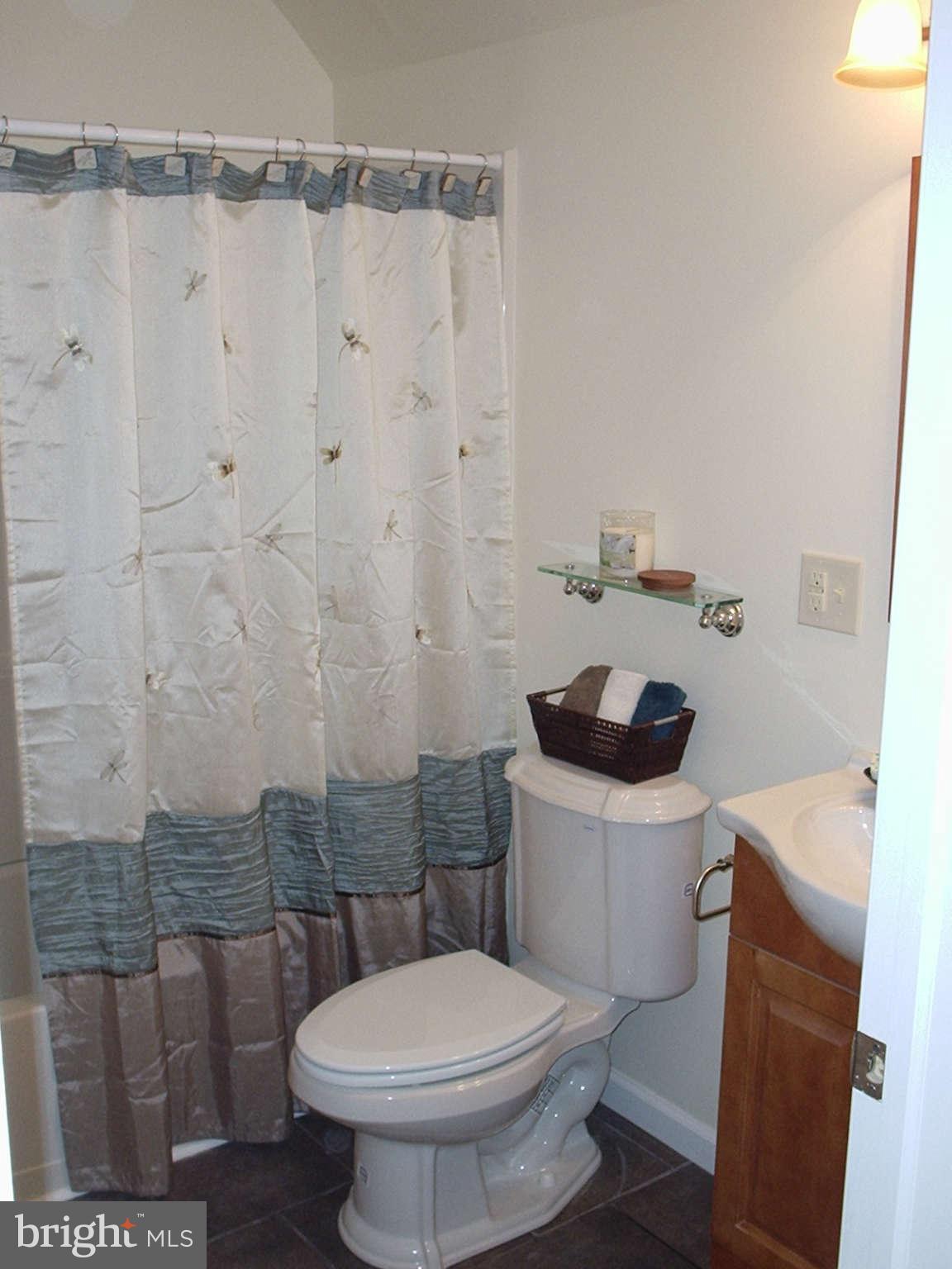 3303 Dublin School Road Street, MD 21154 - Photo 14 of 19 Bath