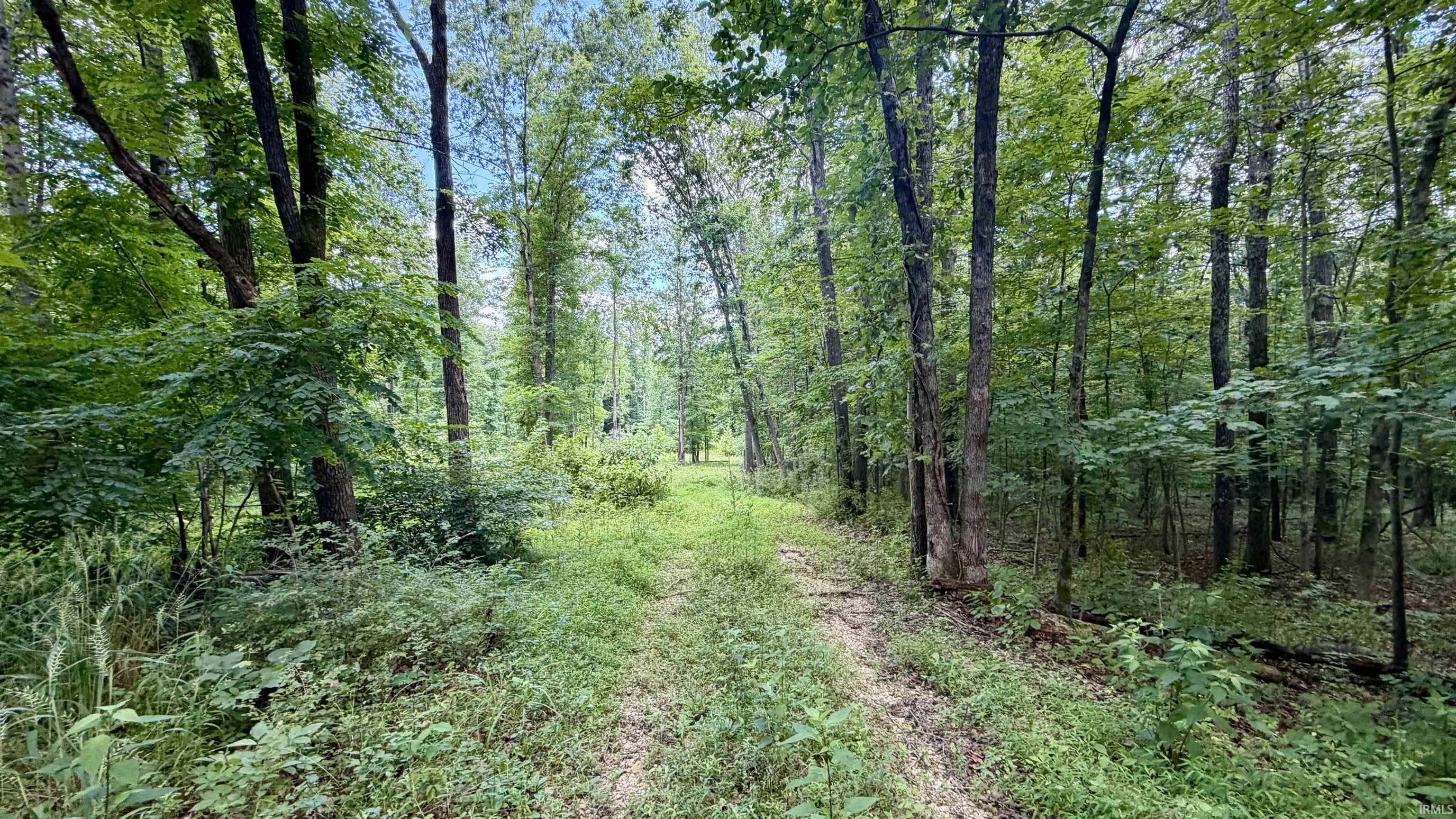 64 State Road English, IN 47118 - Photo 7 of 27