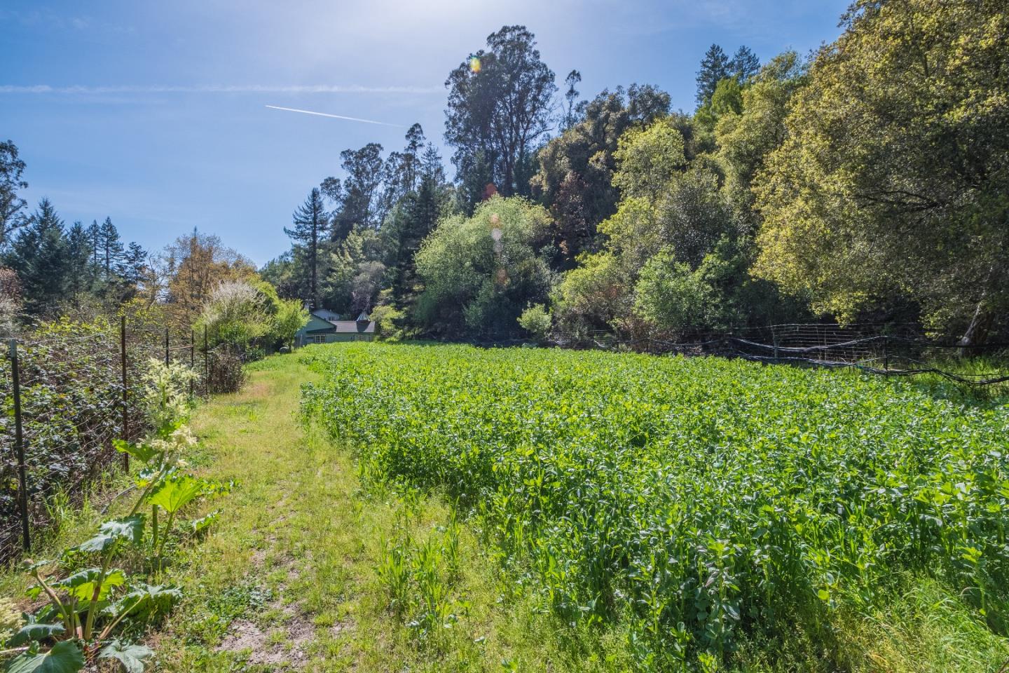 501 Happy Valley Road Santa Cruz, CA 95065 - Photo 5 of 36 Gallery Image 5