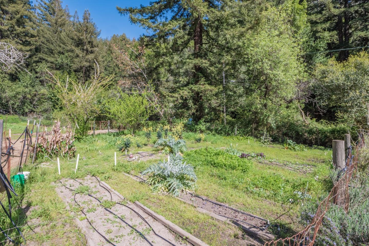 501 Happy Valley Road Santa Cruz, CA 95065 - Photo 7 of 36 Gallery Image 7