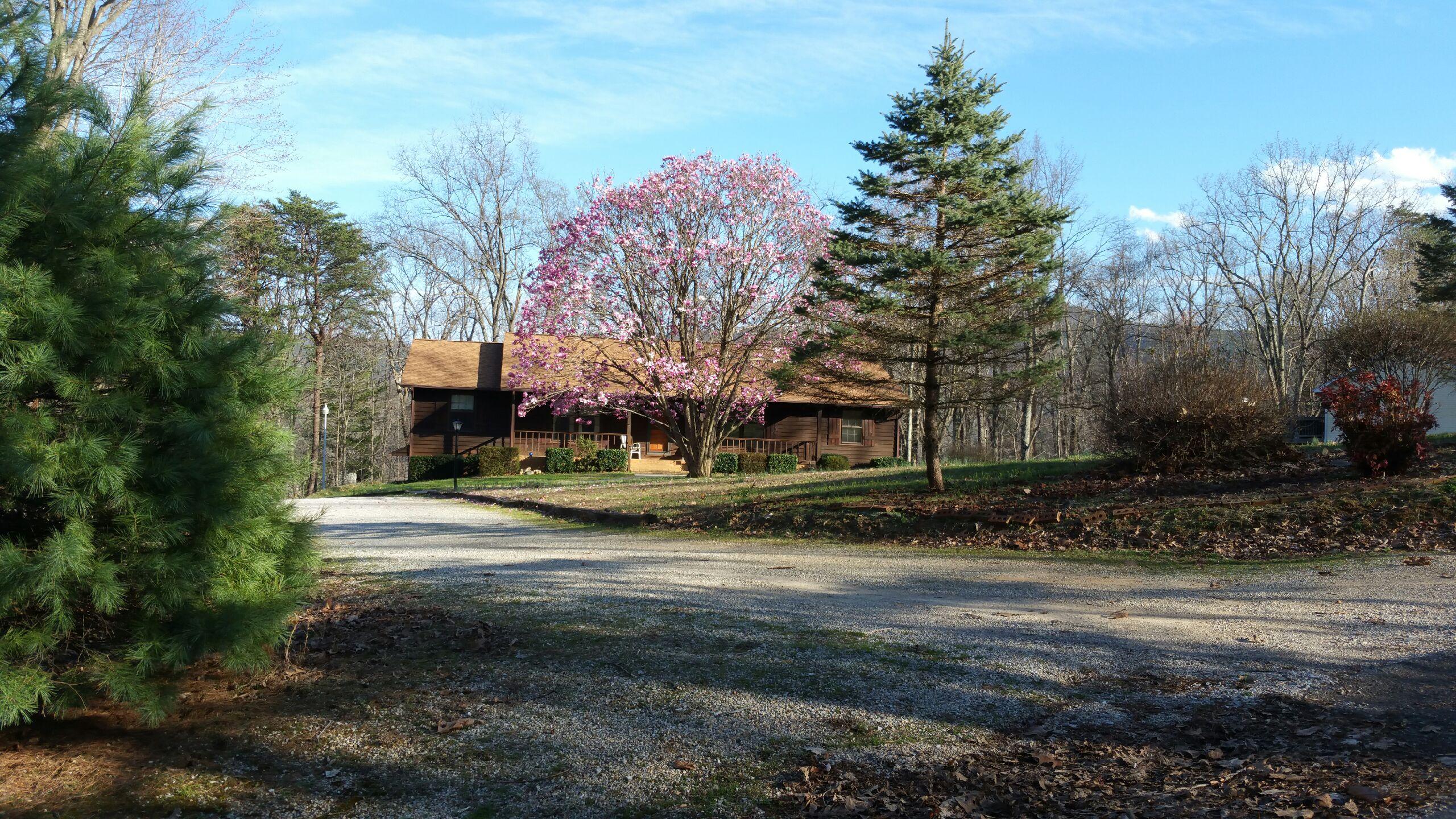 6245 Hillcrest Road Salem, VA 24153 - Photo 2 of 34 View from Street