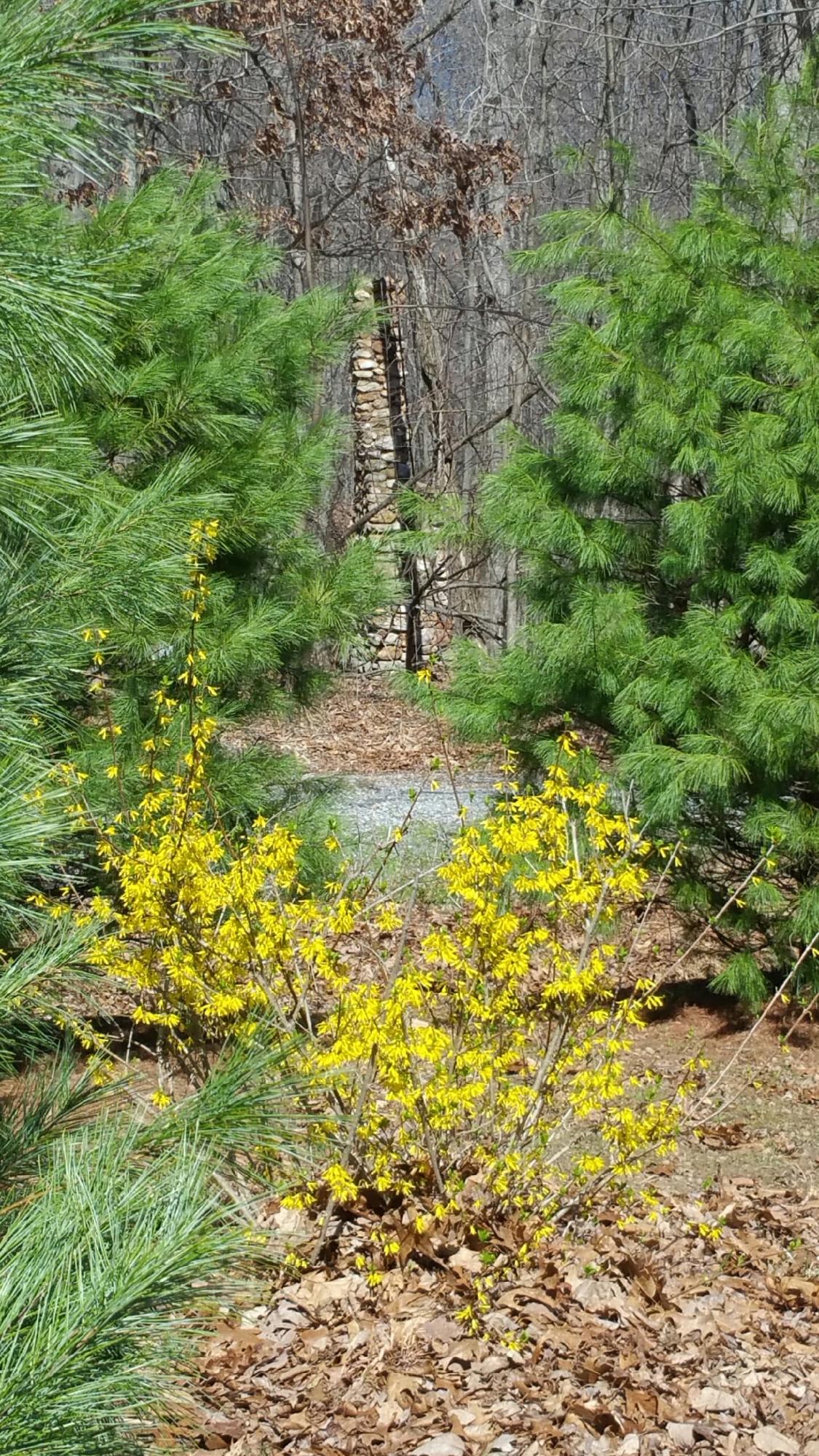 6245 Hillcrest Road Salem, VA 24153 - Photo 30 of 34 Chimney in woods