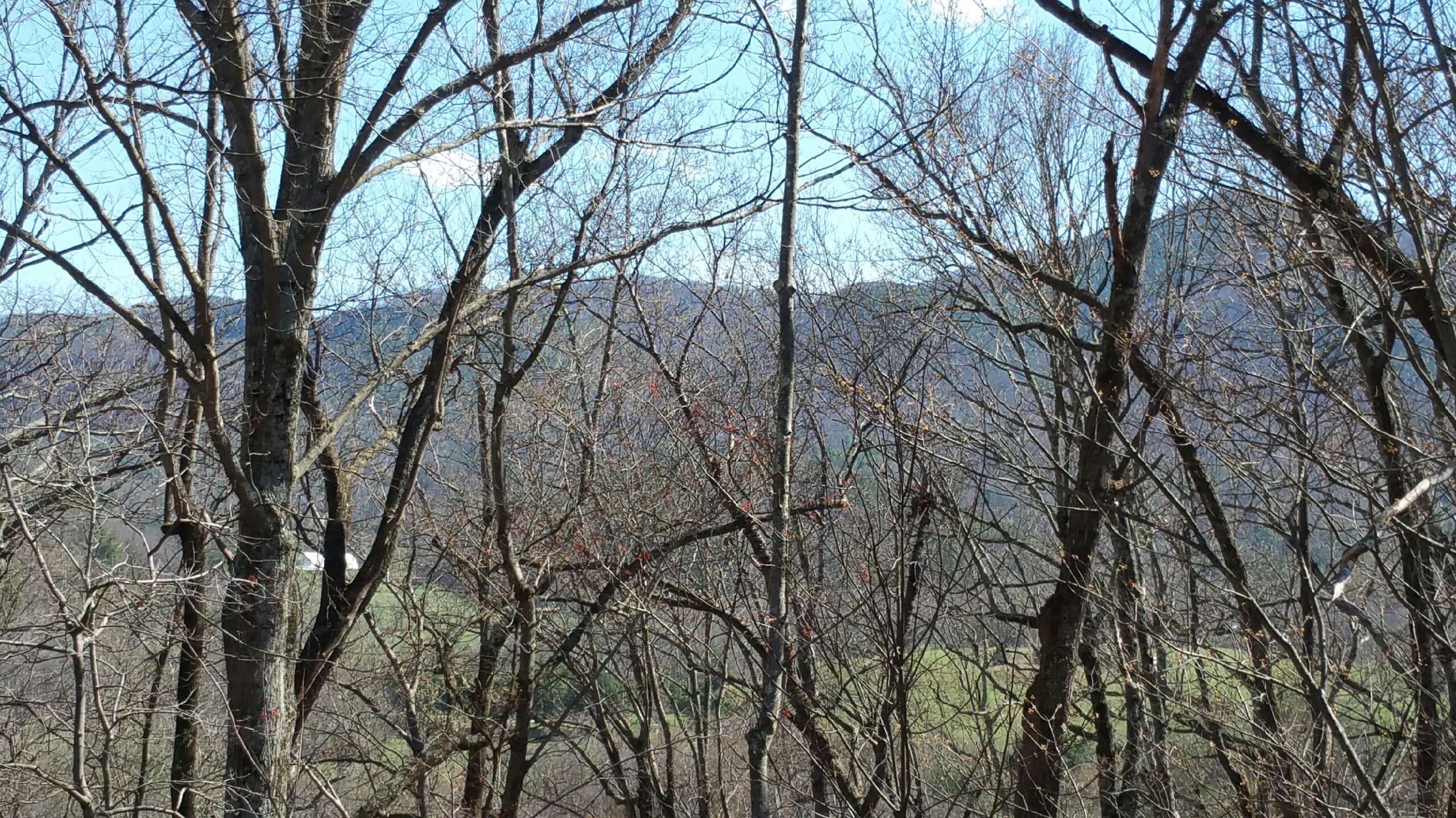 6245 Hillcrest Road Salem, VA 24153 - Photo 6 of 34 Mountain View