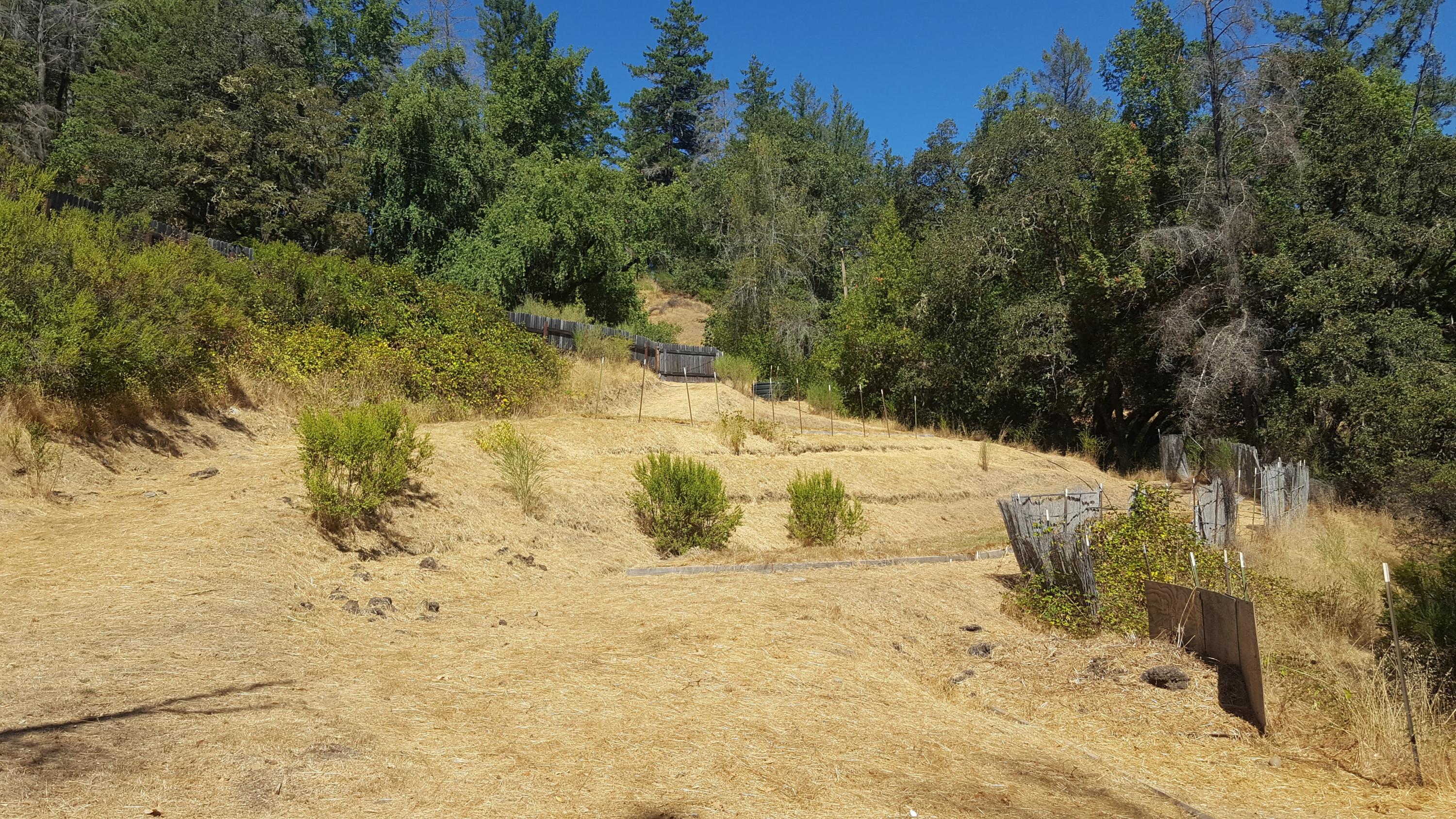 297 County Road Miranda, CA 95553 - Photo 4 of 13 20190912_140838