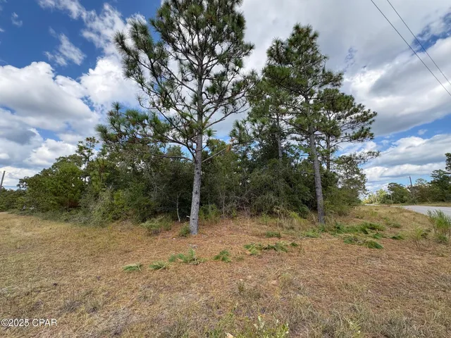 $15,750 | 0 Washington Boulevard, Chipley, FL 32428