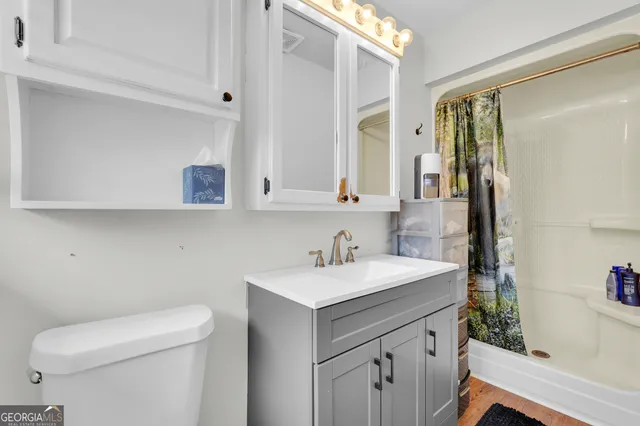 a bathroom with a sink toilet and vanity