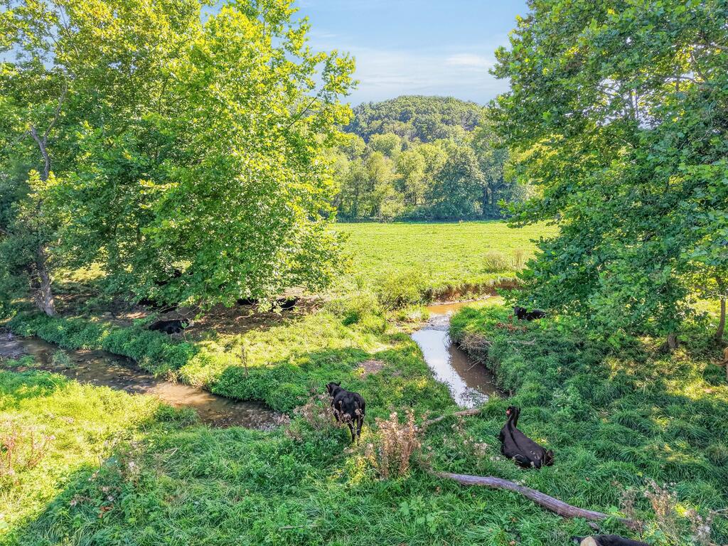 Tbd Peppers Ferry Road, Unit TRACT 4 Wytheville, VA 24382 - Photo 31 of 63 Gallery Image 31