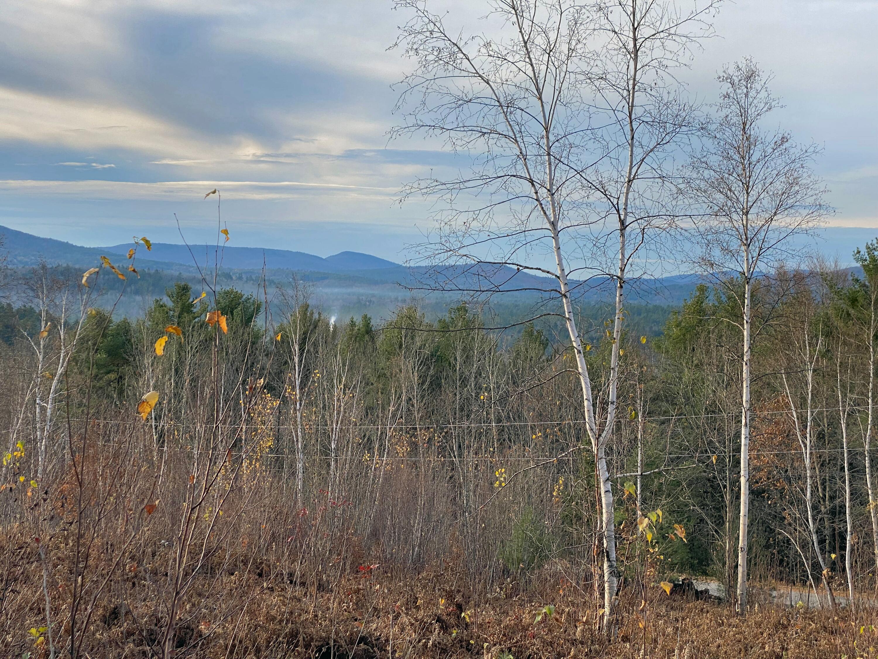 Lot #9 Taylor Smith Road Bethel, ME 04217 - Photo 11 of 22 Lower Elevation views