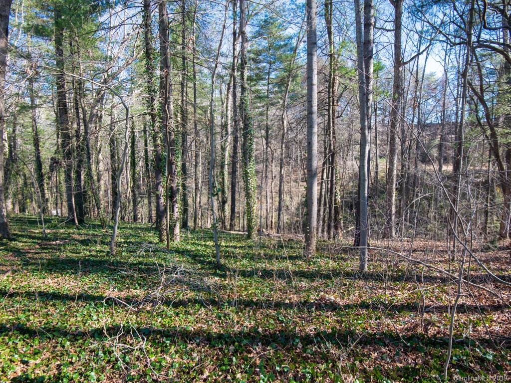 300 Pritchard Road Candler, NC 28715 - Photo 26 of 28 Gallery Image 26