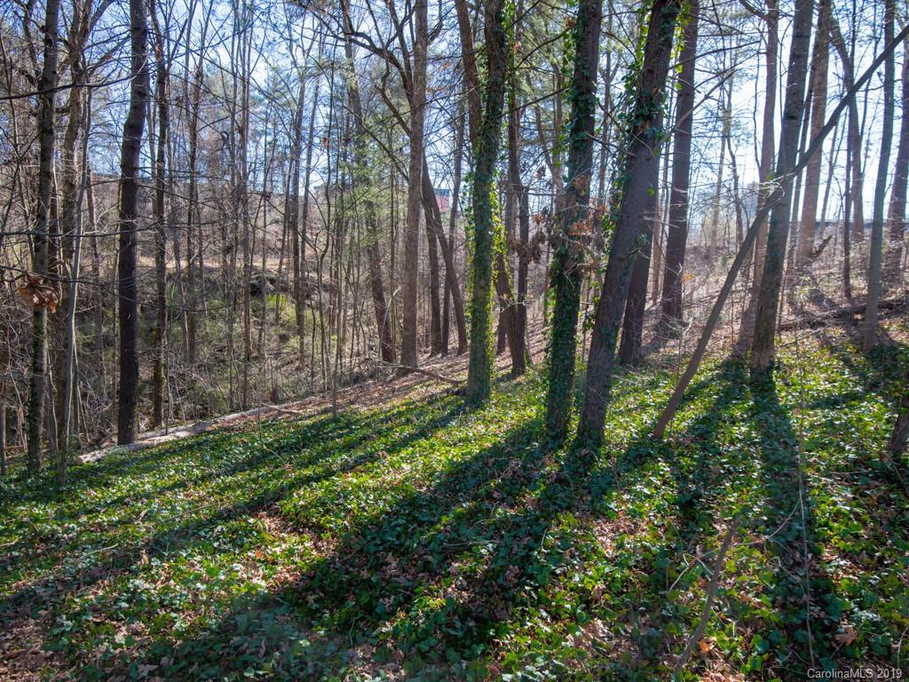 300 Pritchard Road Candler, NC 28715 - Photo 28 of 28 Gallery Image 28