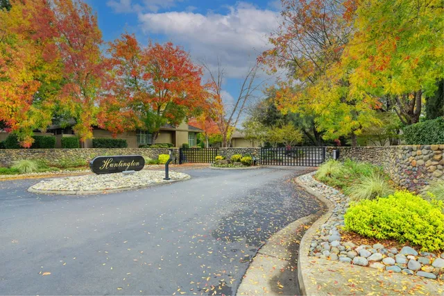 a view of a park with large trees
