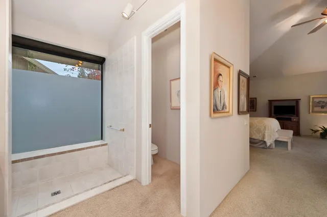 a view of yard in front of house with trees all around