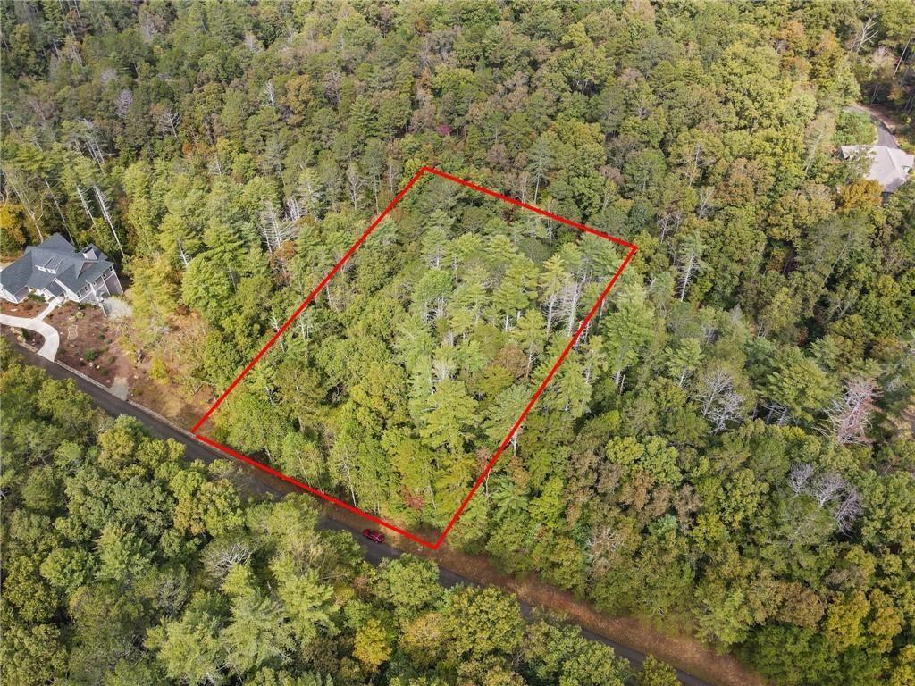 0 Trout Line Court Talking Rock, GA 30175 - Photo 1 of 50 a view of a yard with a lush green forest