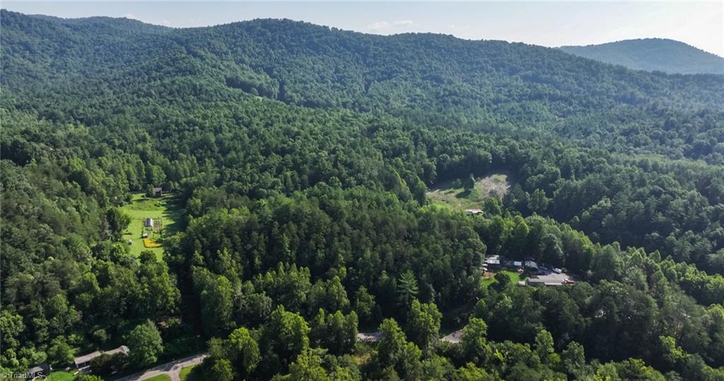 Tbd Boone Trail Purlear, NC 28665 - Photo 25 of 45