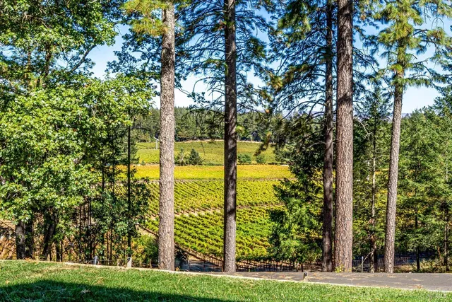 $3,980,000 | 1155 Las Posadas Road, Angwin, CA 94508