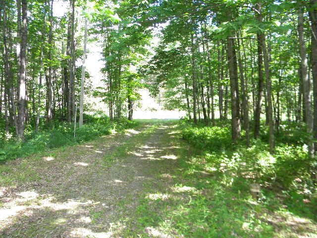 414 Hudson Hill Road Hudson, ME 04449 - Photo 2 of 4 DSCN5216