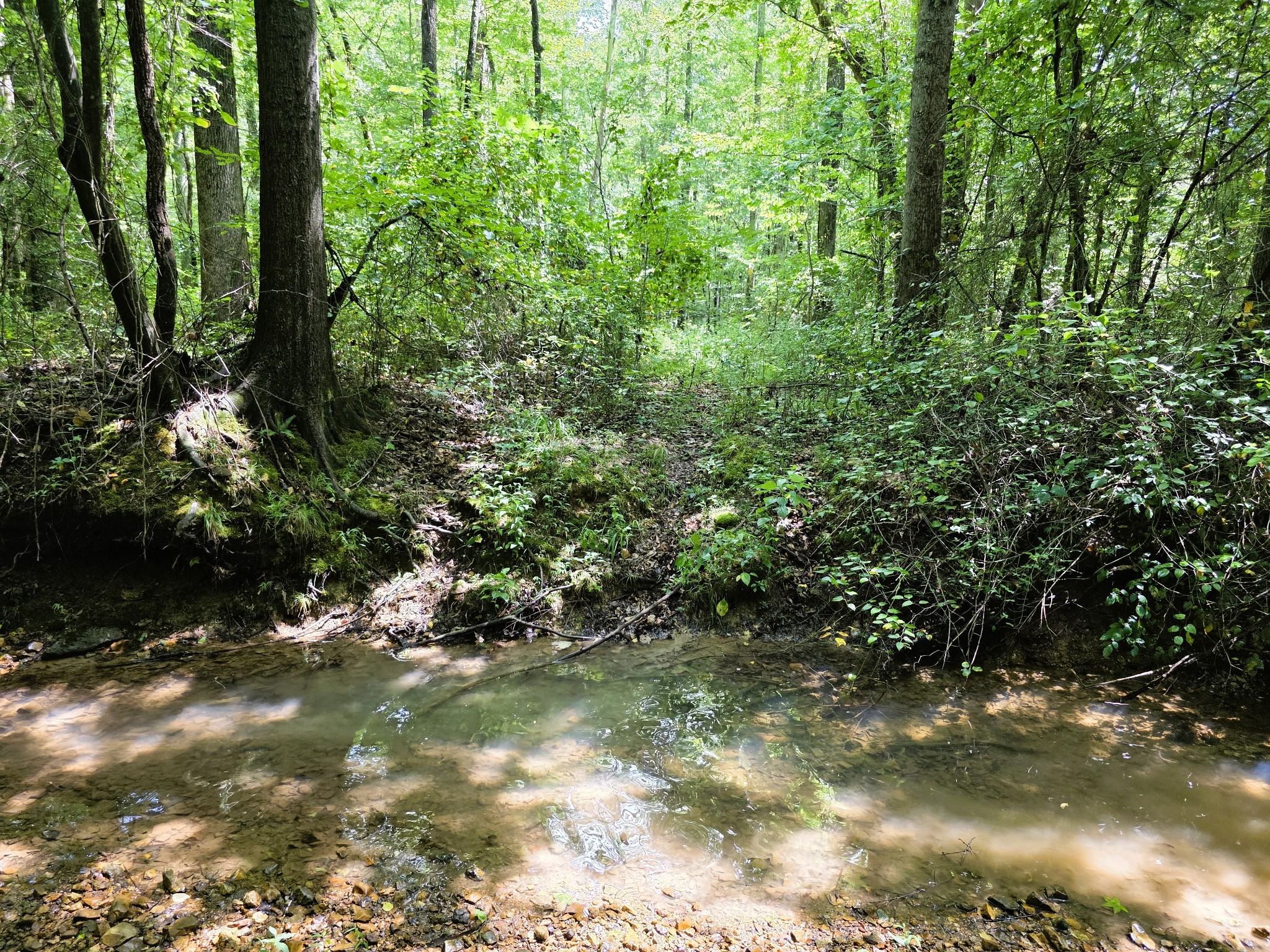 865 Hatley Road Holladay, TN 38341 - Photo 27 of 37