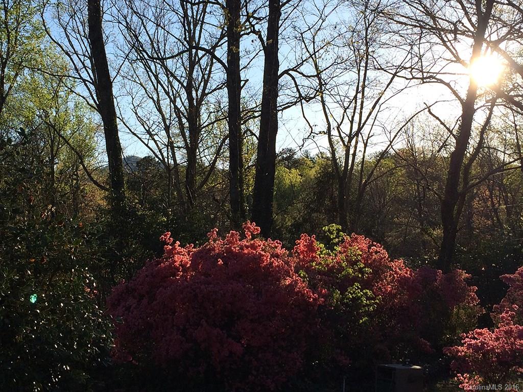 590 Wilderness Road Tryon, NC 28782 - Photo 16 of 16