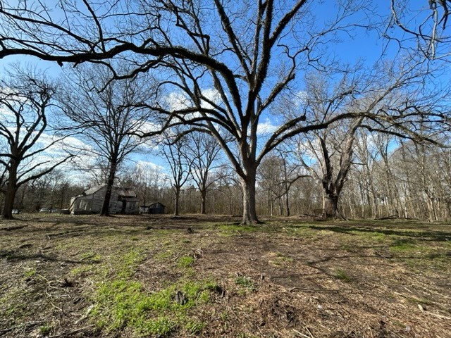 0 Vietnam Road Fayette, MS 39069 - Photo 5 of 16 Photo 5
