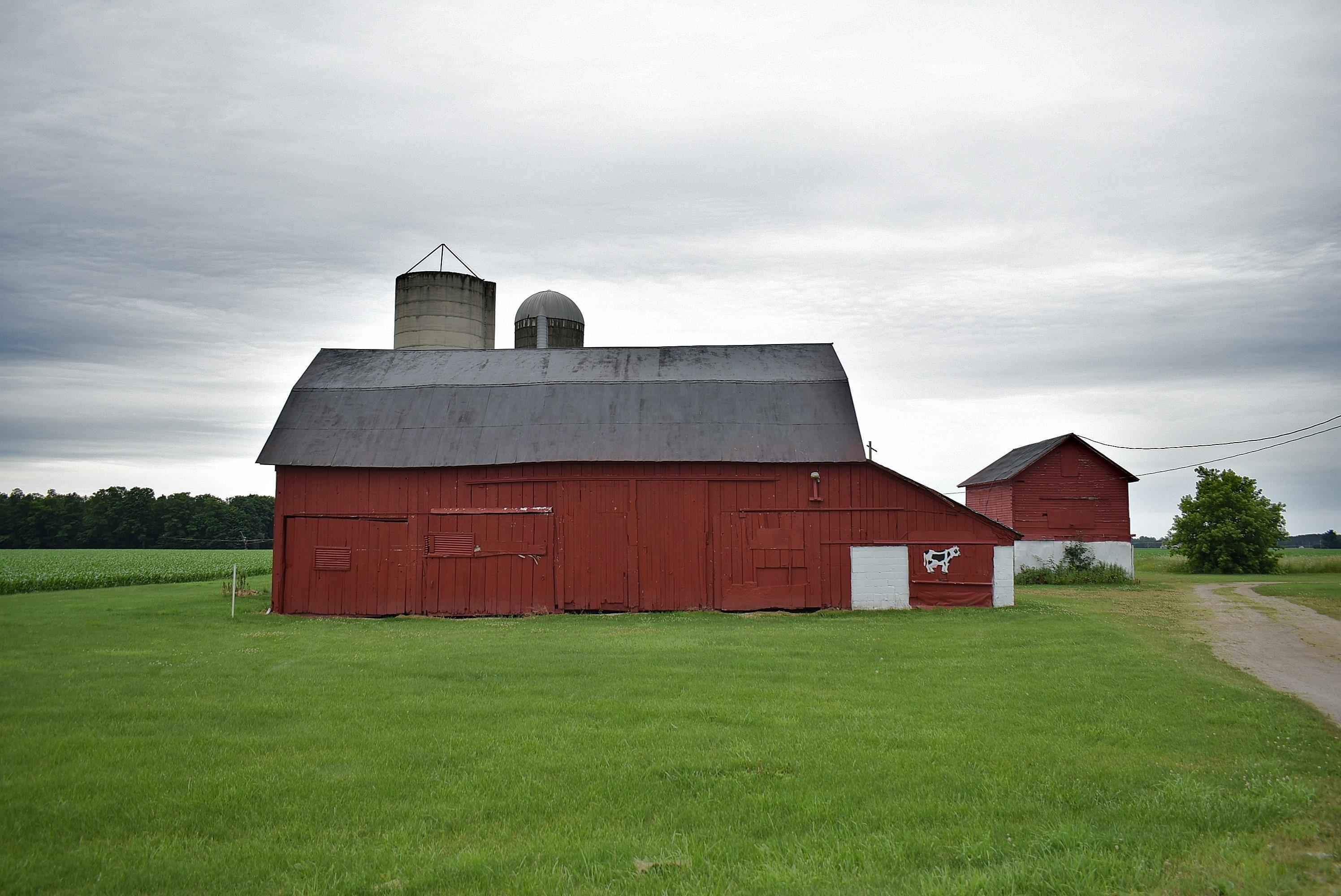 6631 West 4 Road Buckley, MI 49620 - Photo 30 of 31