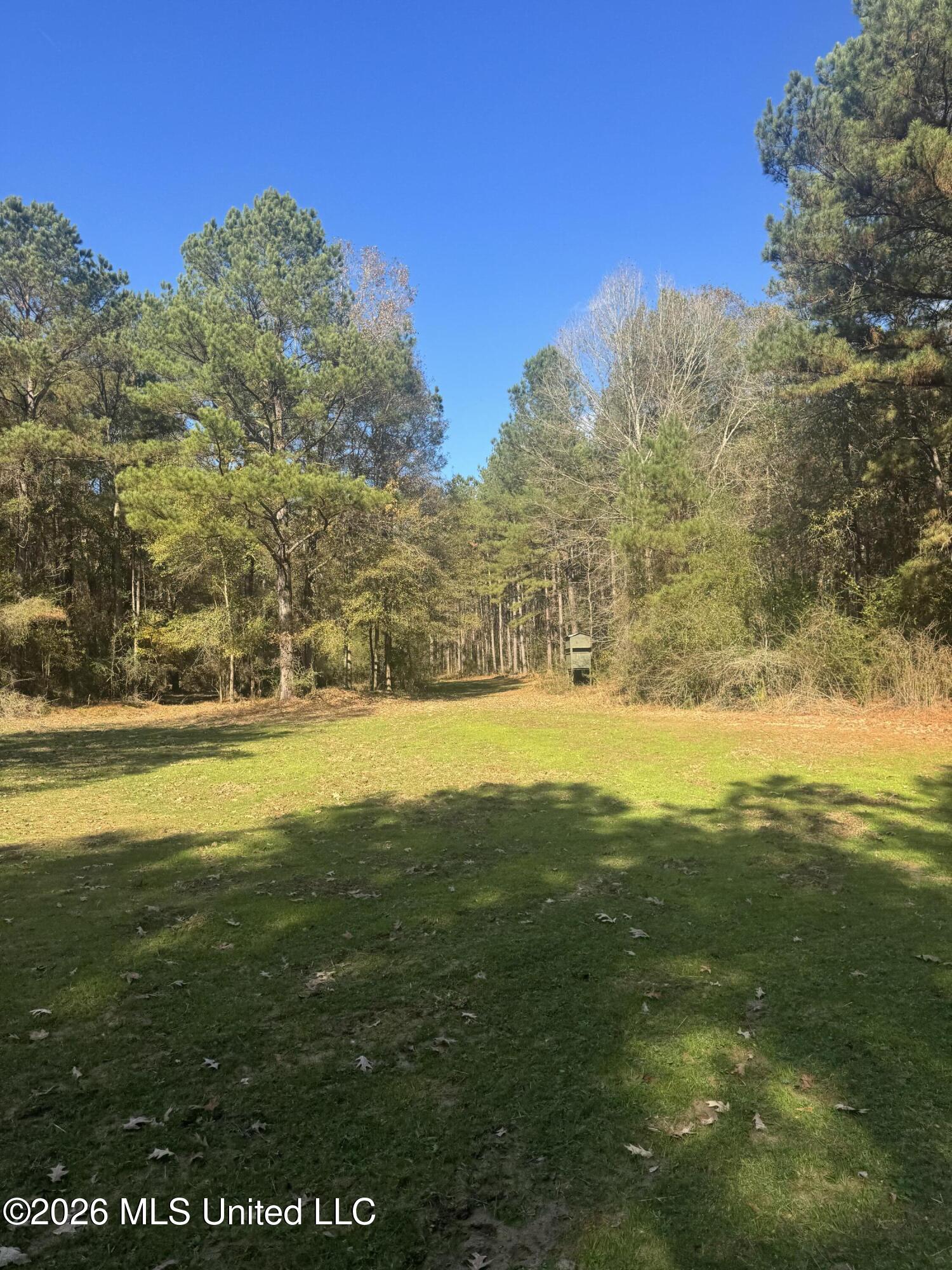 Mckenzie Road Tylertown, MS 39667 - Photo 41 of 50 41