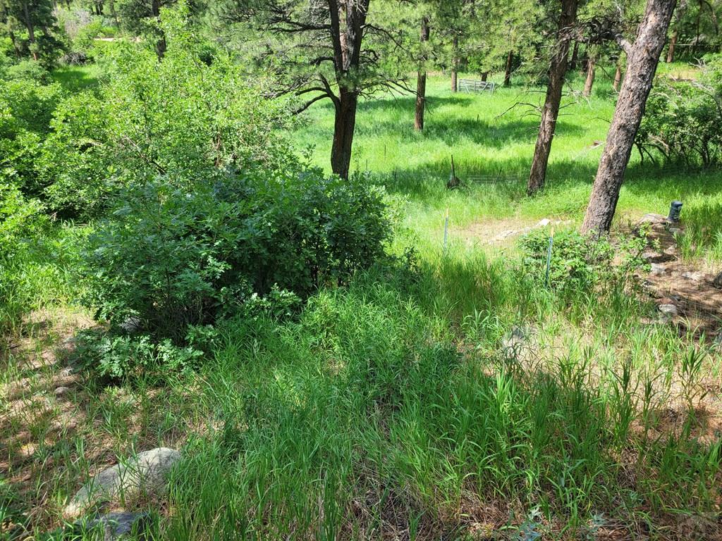 8287 Cuerna Verde Road Rye, CO 81069 - Photo 52 of 52