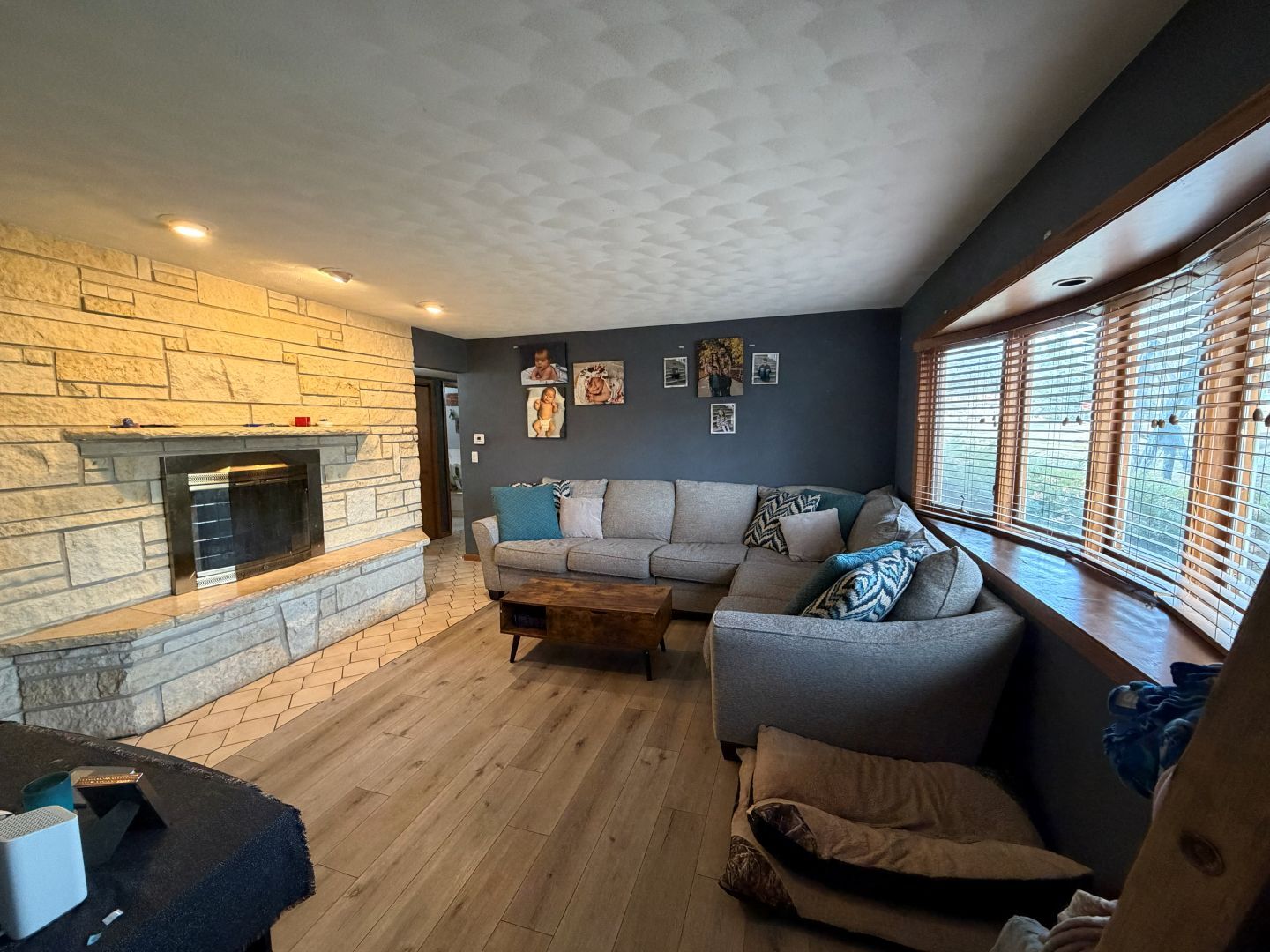 2276 Cross Street Freeport, IL 61032 - Photo 5 of 15 a living room with furniture and a fireplace