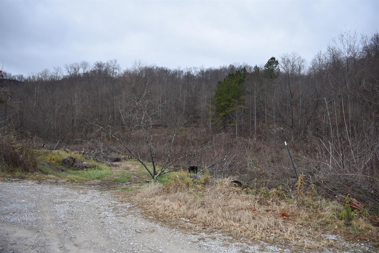 9999 East Crawfish Road Manchester, KY 40962 - Photo 28 of 52 Photo 28