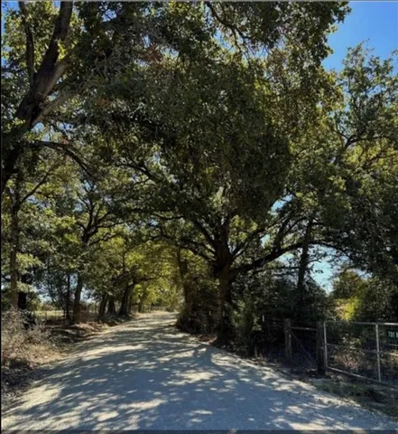 a view of a dry yard with large trees