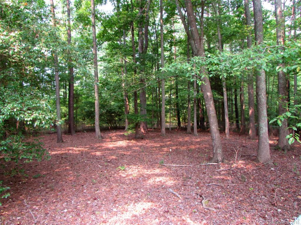 1303 Rabbit Run Road York, SC 29745 - Photo 23 of 24 Gallery Image 23