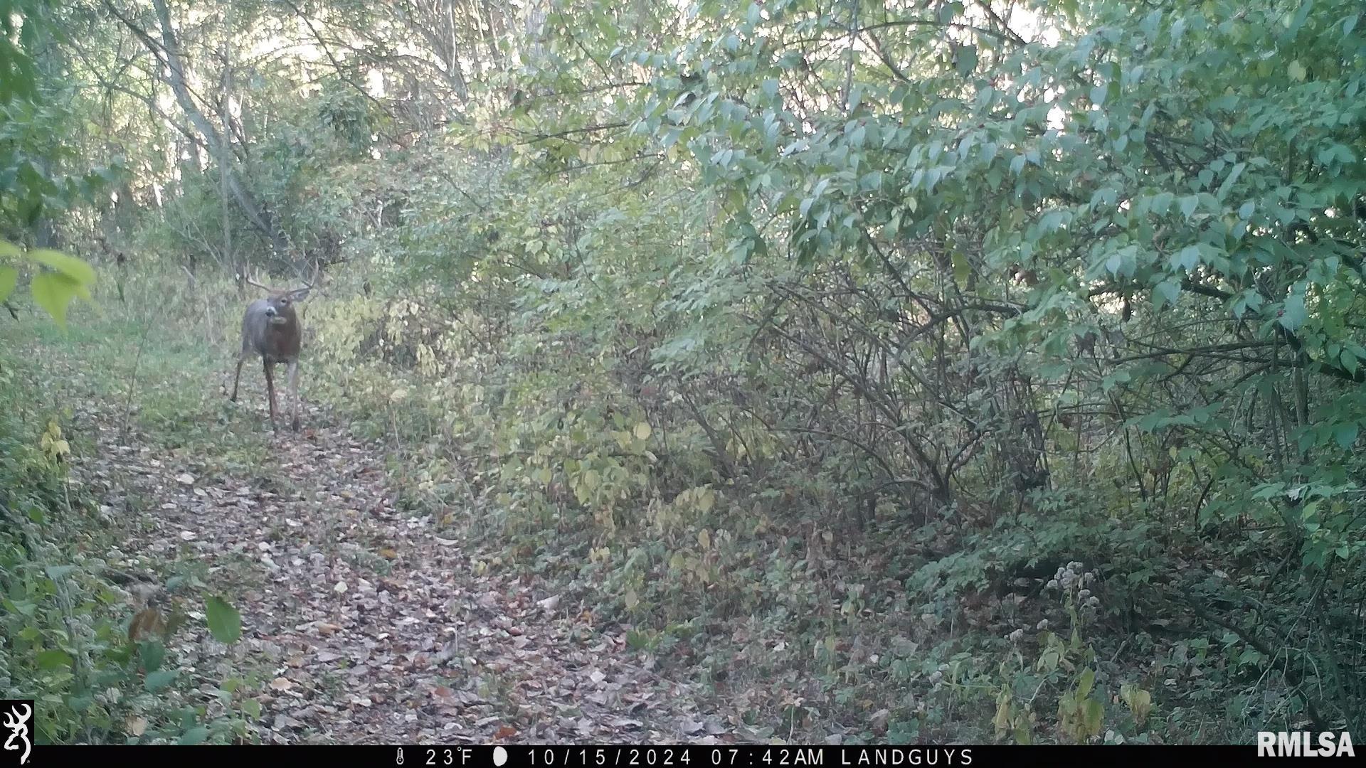 0 West Meehan Road Elmwood, IL 61529 - Photo 28 of 44