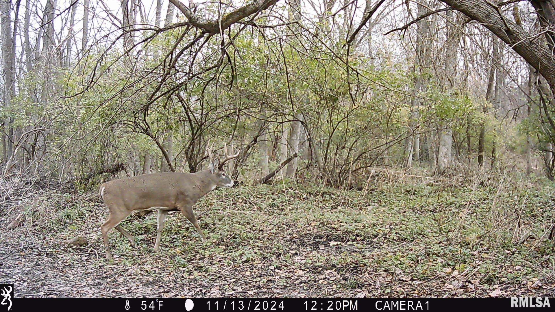0 West Meehan Road Elmwood, IL 61529 - Photo 3 of 44