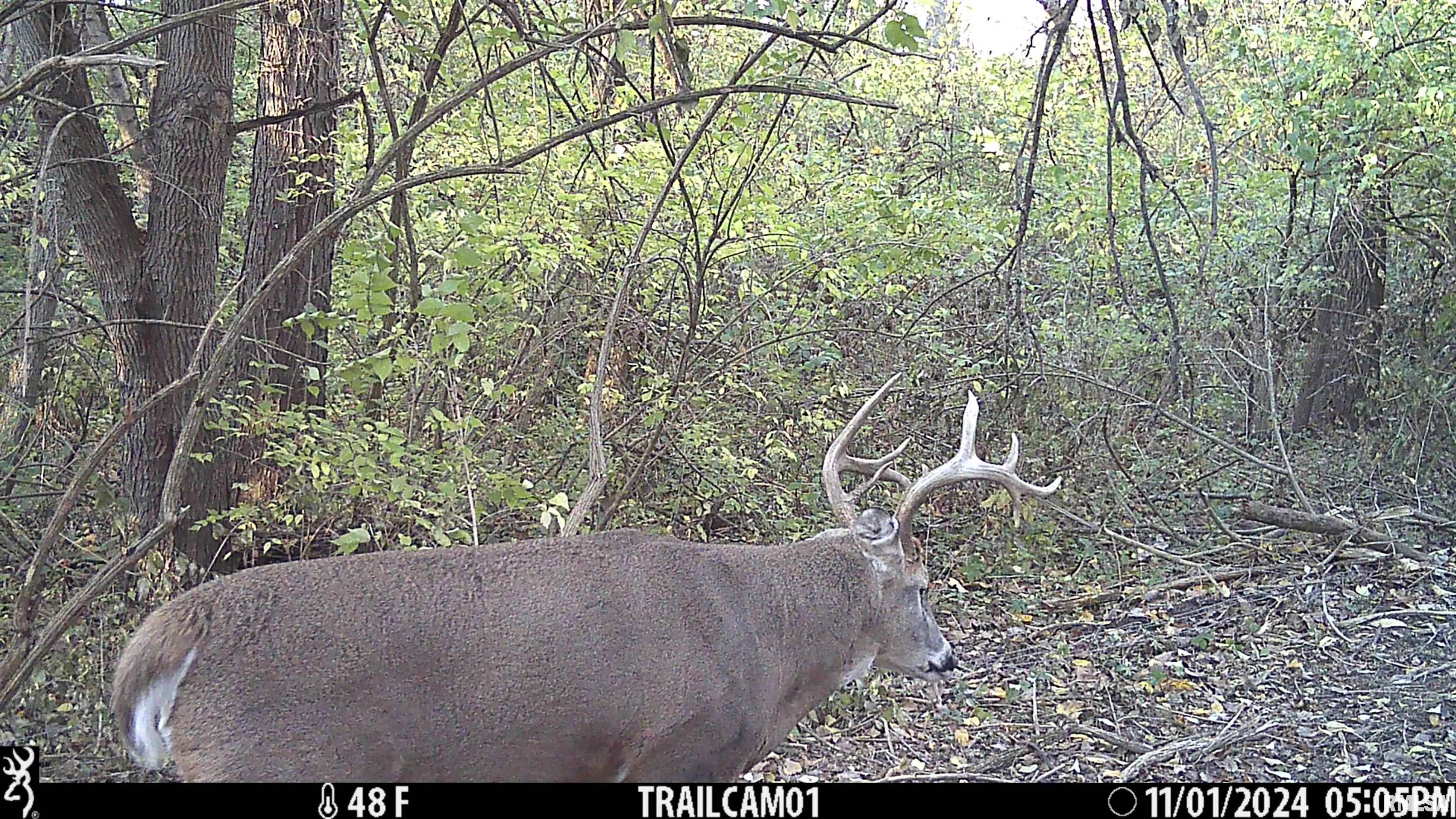 0 West Meehan Road Elmwood, IL 61529 - Photo 37 of 44