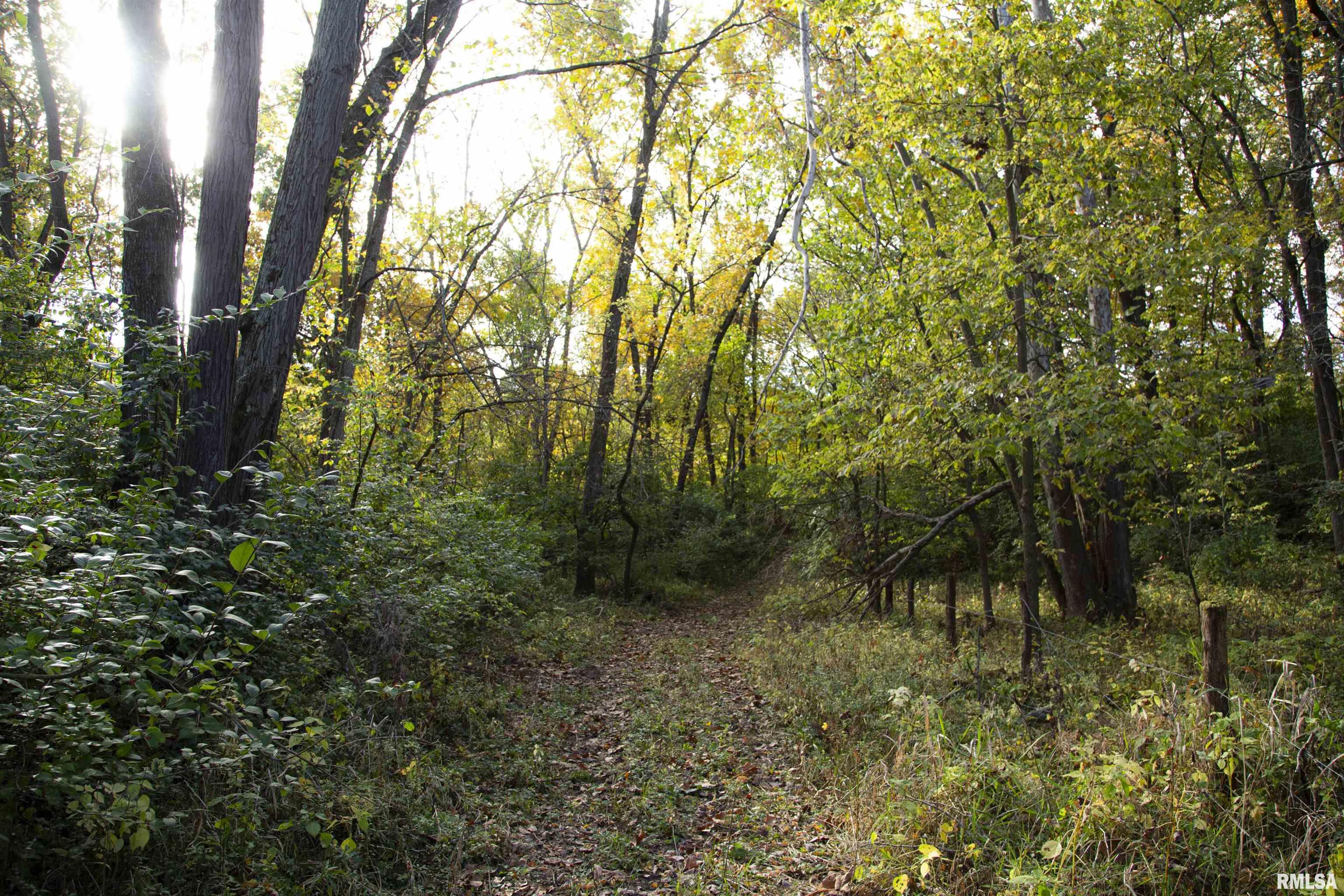 0 West Meehan Road Elmwood, IL 61529 - Photo 39 of 44