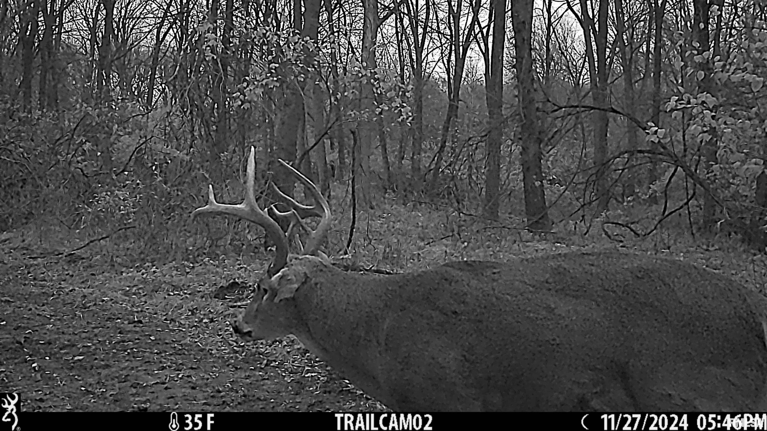 0 West Meehan Road Elmwood, IL 61529 - Photo 7 of 44