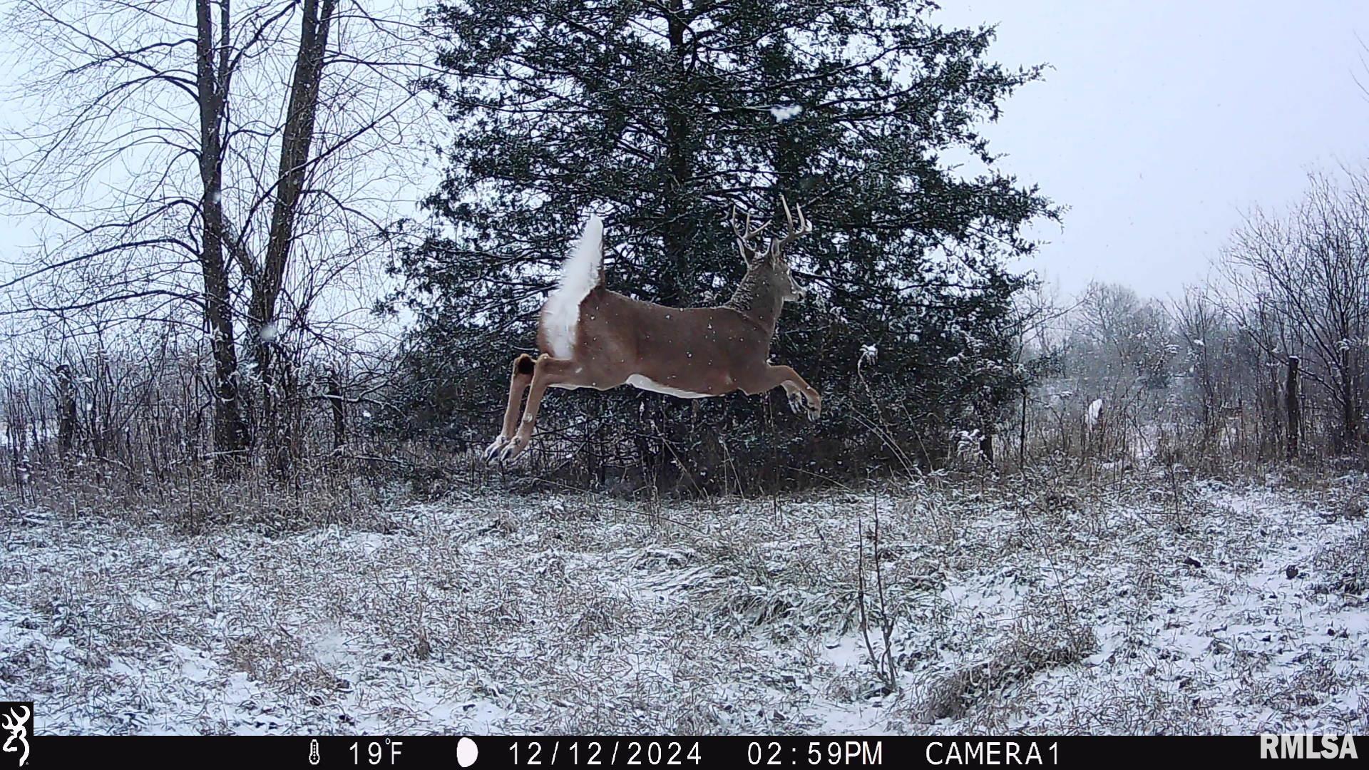 0 West Meehan Road Elmwood, IL 61529 - Photo 9 of 44