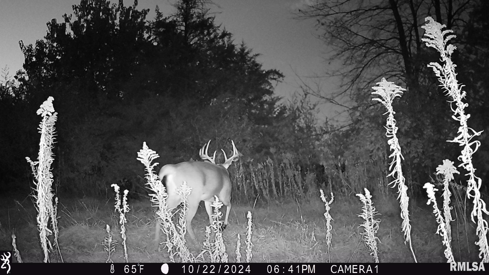 0 West Meehan Road Elmwood, IL 61529 - Photo 10 of 44