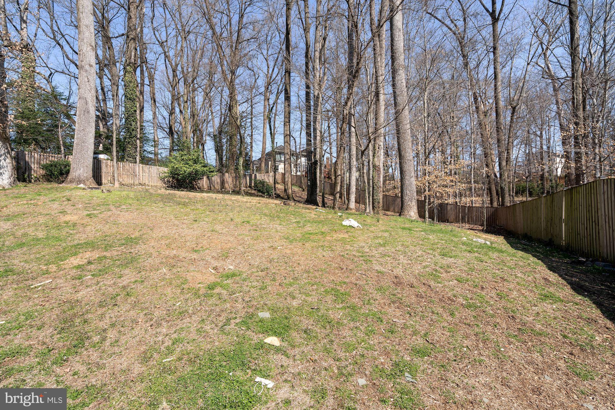 6507 Pyle Road Bethesda, MD 20817 - Photo 64 of 69