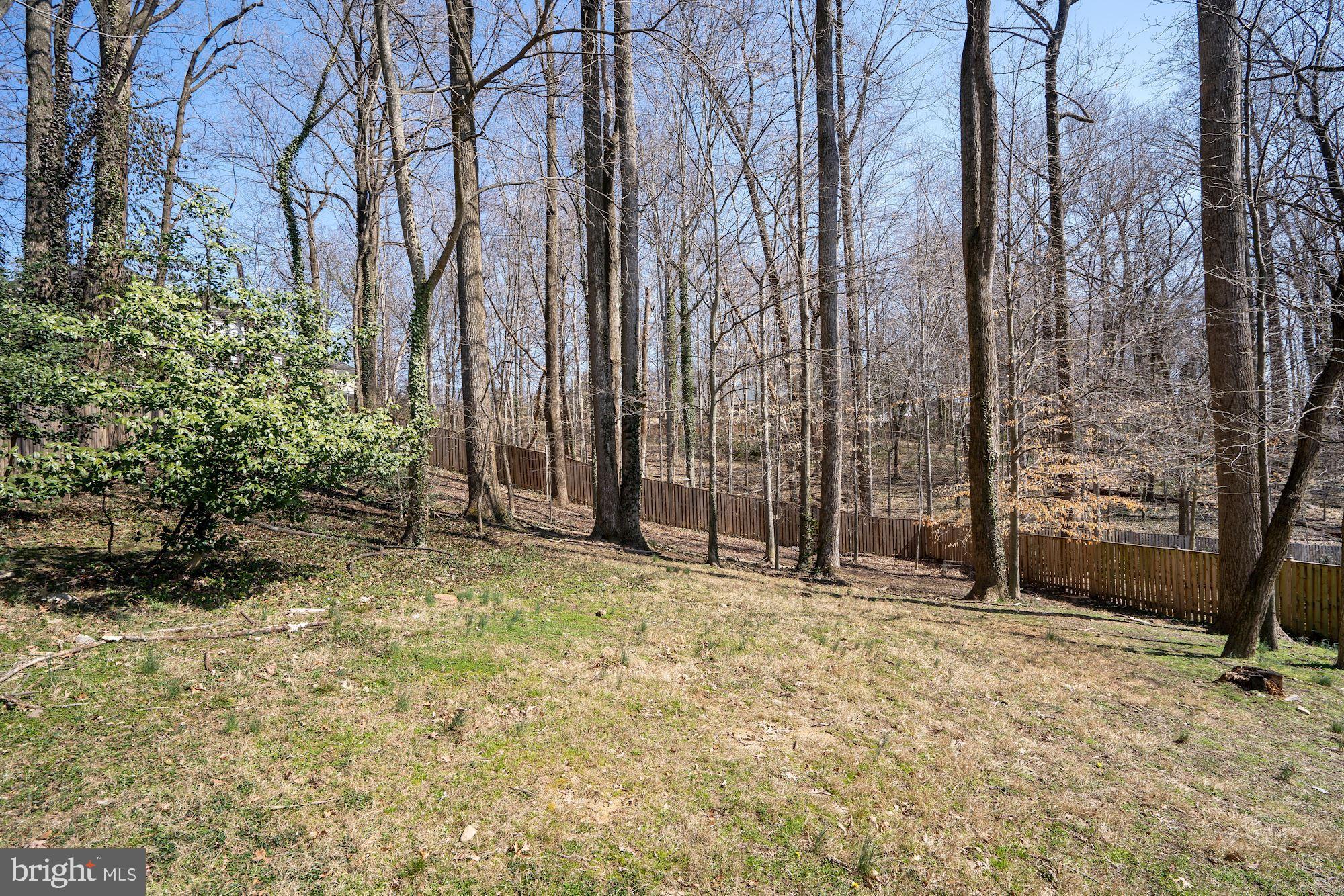 6507 Pyle Road Bethesda, MD 20817 - Photo 65 of 69